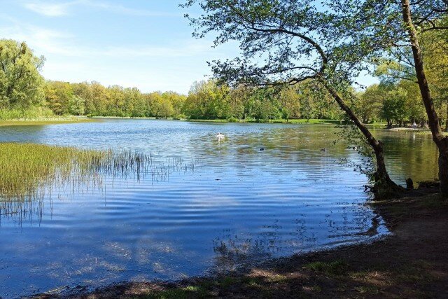   Фото из архива Калининград.Ru