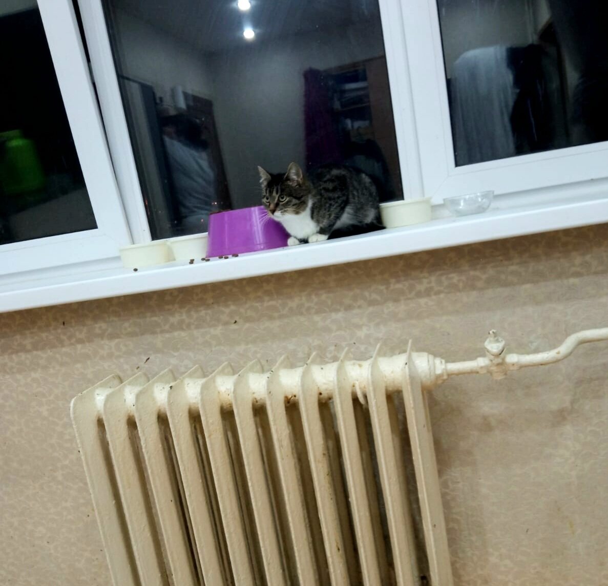 Сидим))