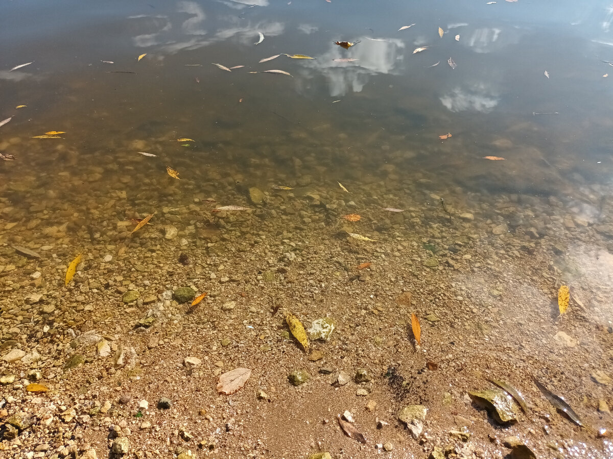 Фото автора.