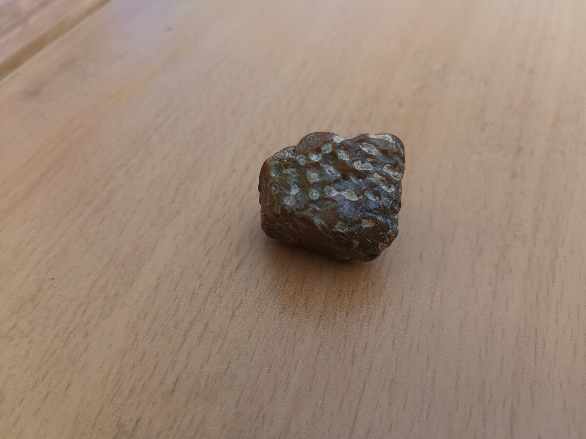 Фото автора.