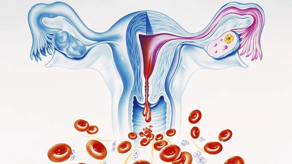 Женский организм месячные. Кровотечение менструационного цикла. Кровотечения в гинекологии. Овуляторное кровотечение. Обильные менструальные кровотечения.