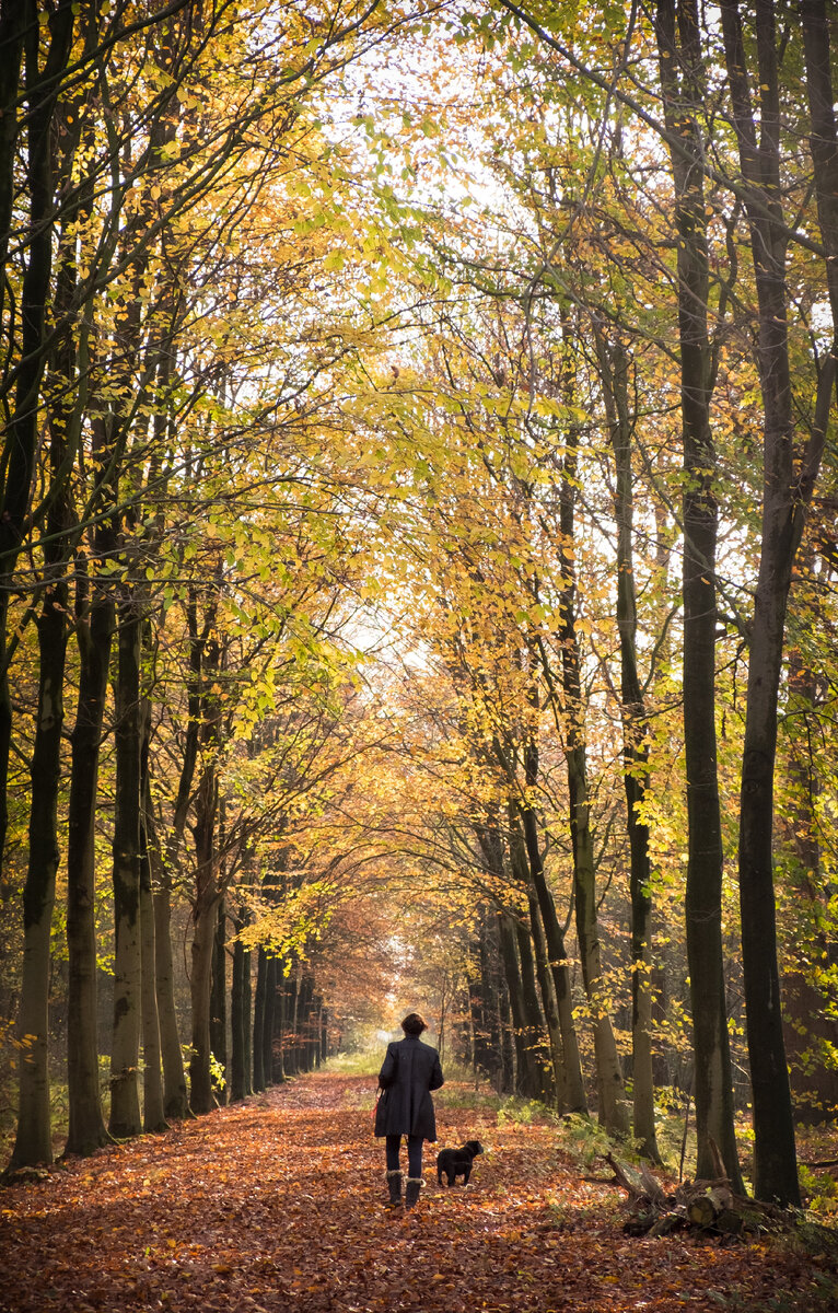 Photo by Bodi.raw on Unsplash