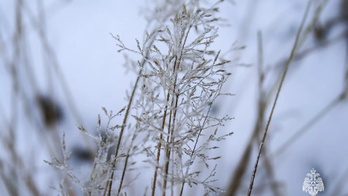     Синоптики предупреждают о возможности налипания мокрого снега.