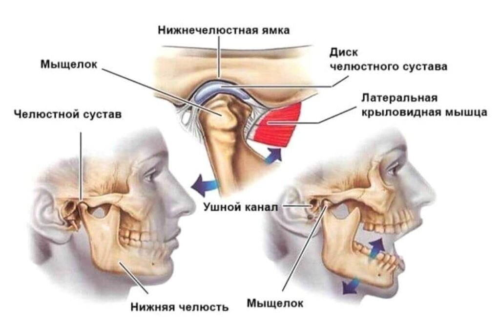 Почему хрустит челюсть