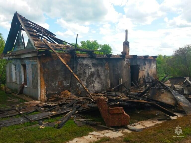    На пожарах в Оренбуржье погибли 82 человека, в том числе 6 детей Кристина Просвиркина