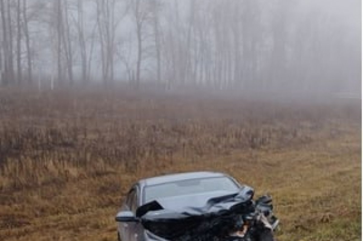    Туман-убийца.