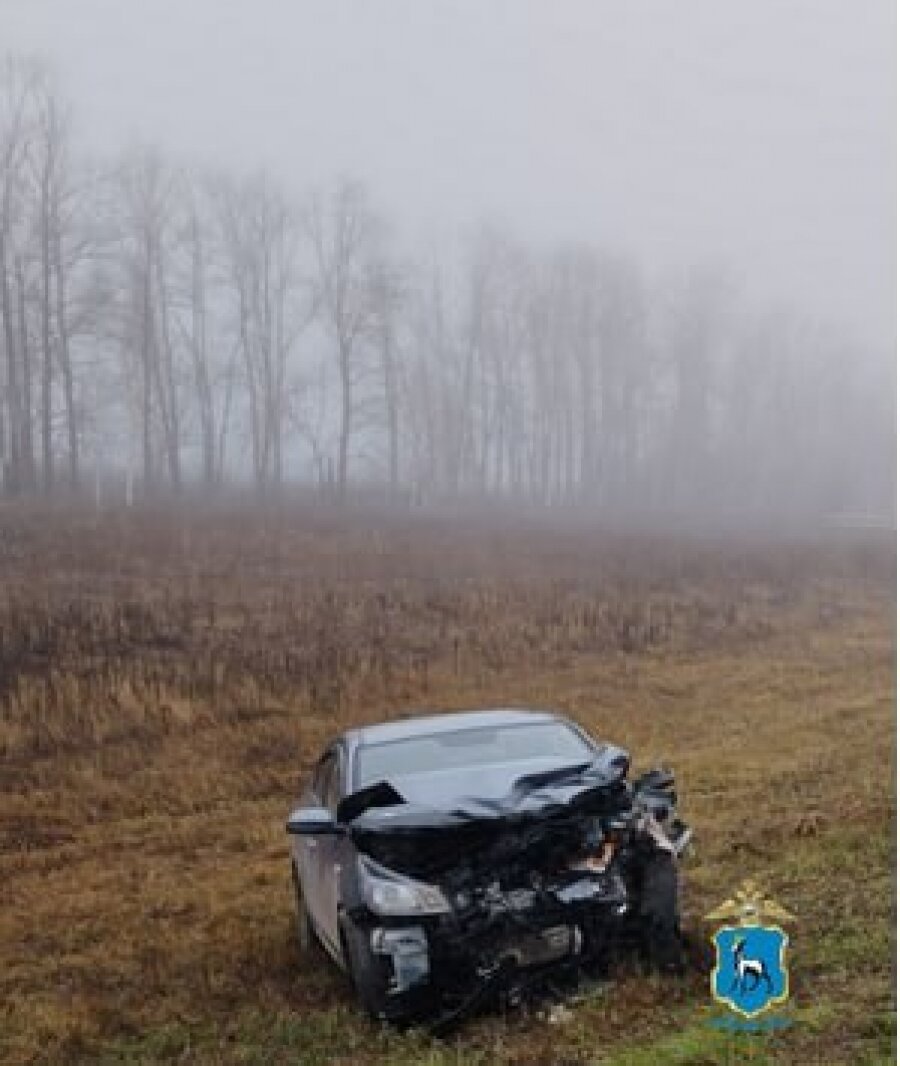    Фото: ГУ МВД по Самарской области