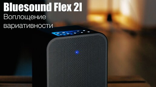 Обзор Bluesound Flex 2I