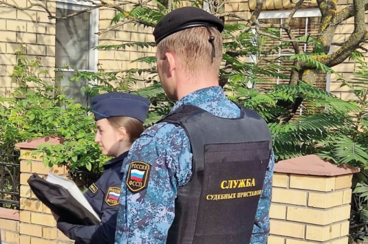    С обычными людьми проще - порой их имущество даже не нужно арестовывать, а достаточно объяснить последствия, к которым приведёт невыплата, чтобы человек рассчитался с долгами. А вот не бедные жители региона ни рубля не хотят отдавать, даже если брали эти деньги в кредит.