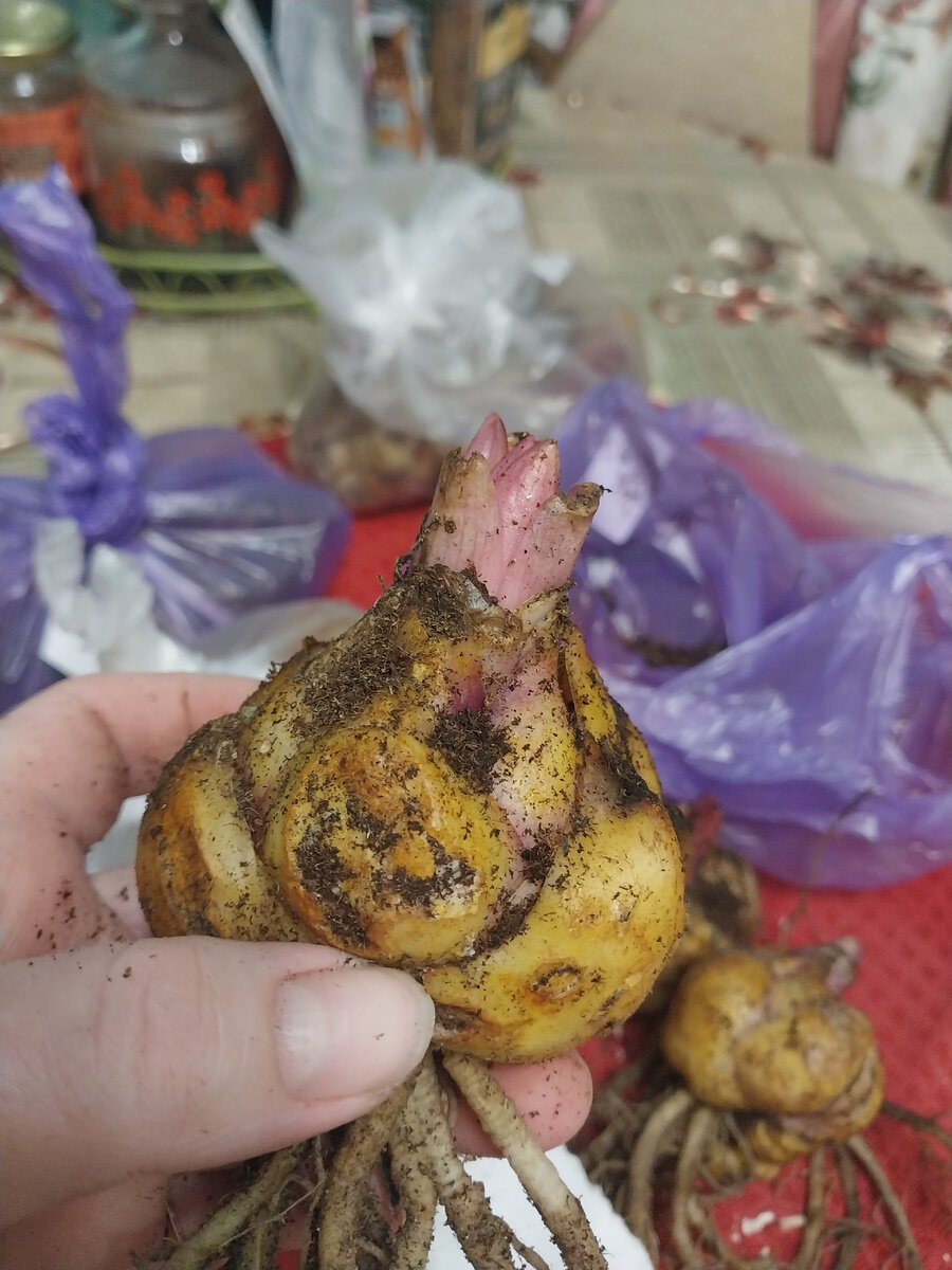 Это покупки Весна 2023