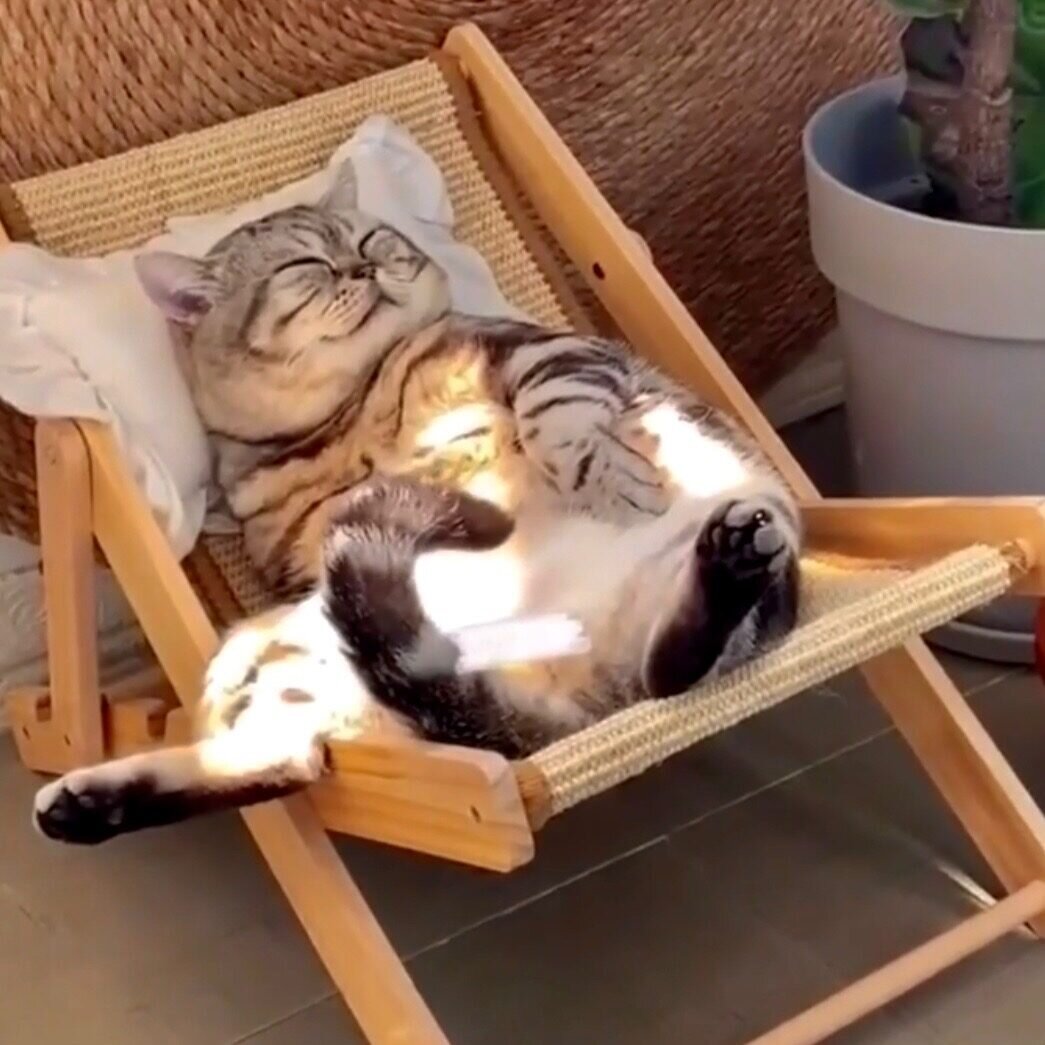 Фото из свободного доступа 