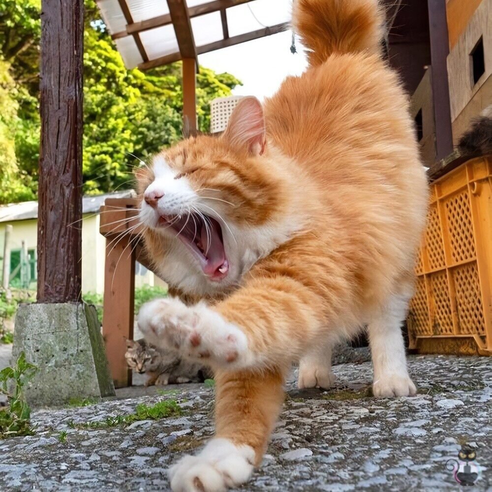 Фото из доступного источника