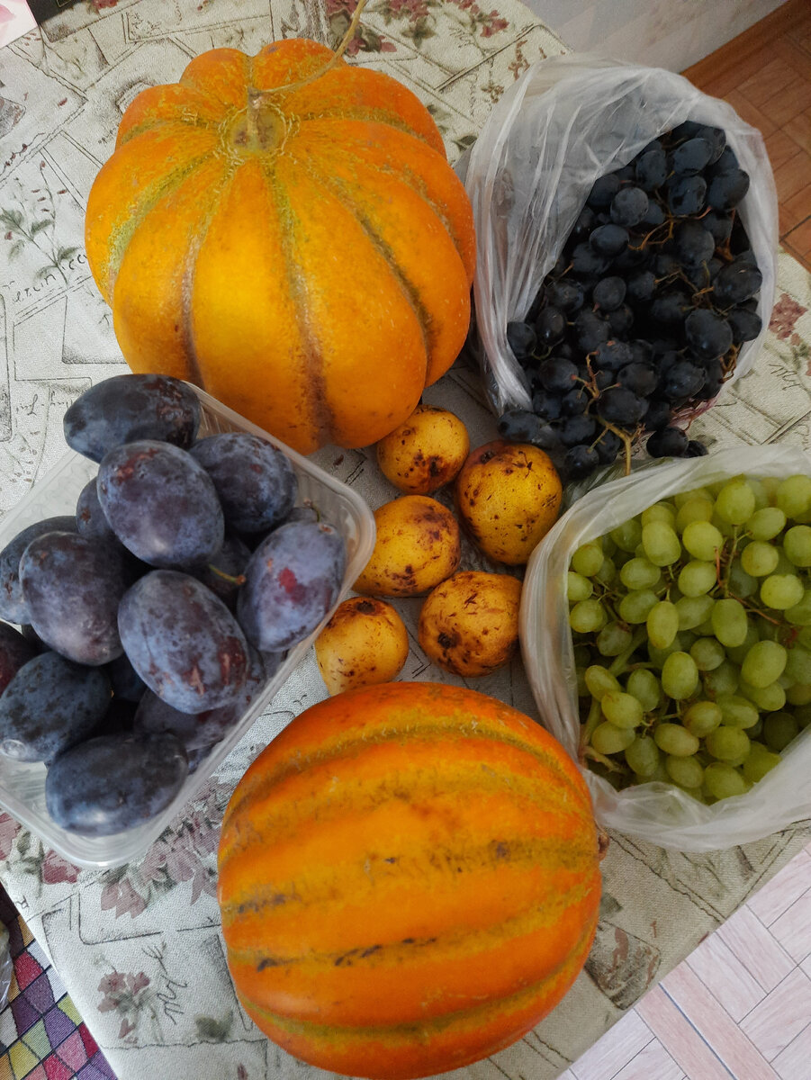 Покупки с нашей ярмарки