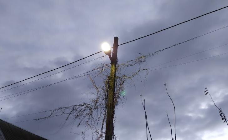    фото Курские известия