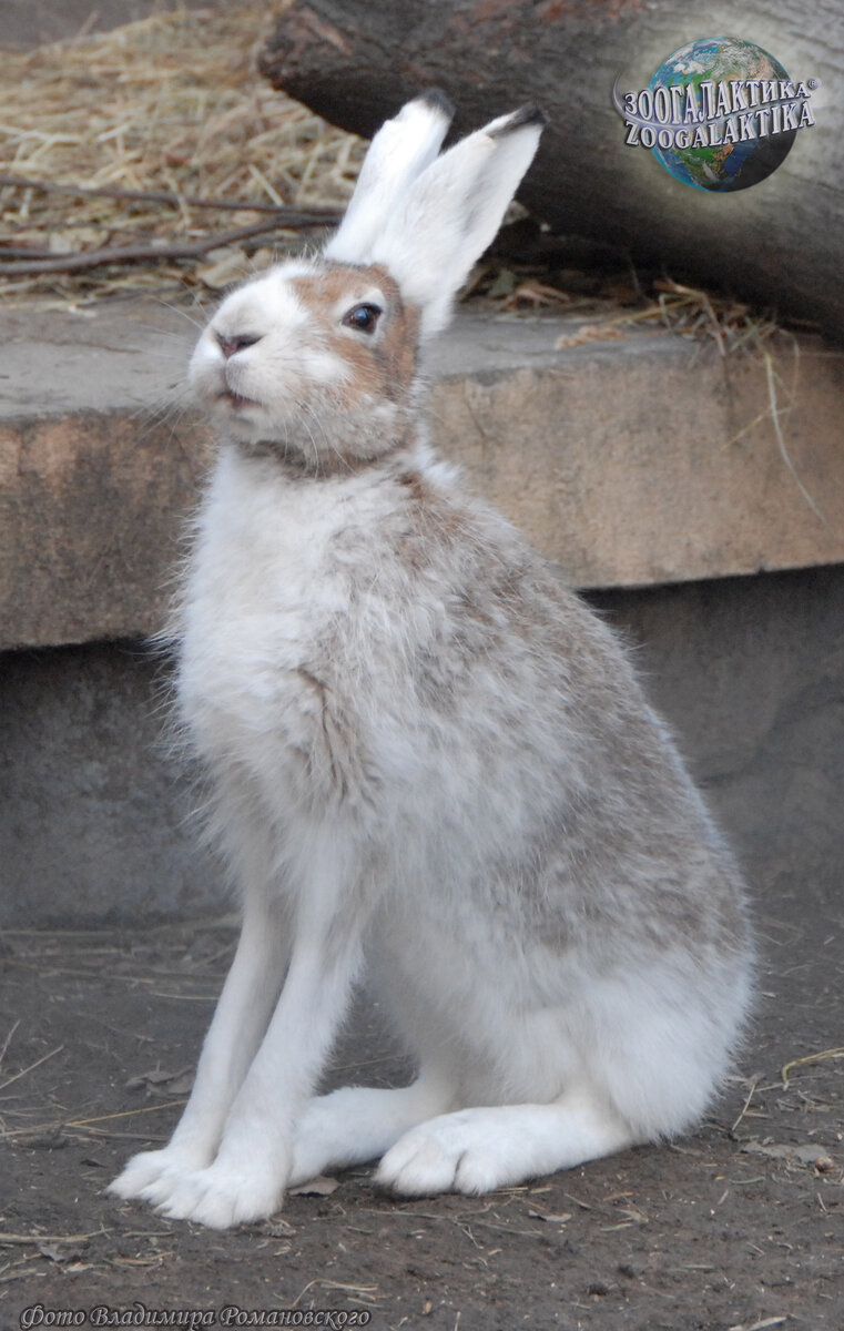 Я не трус,но я боюсь...