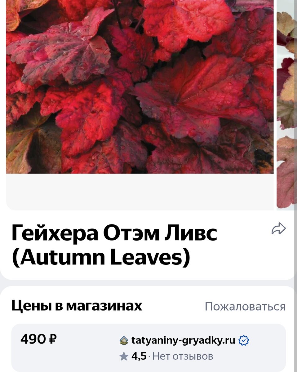 И такой не бывает! 