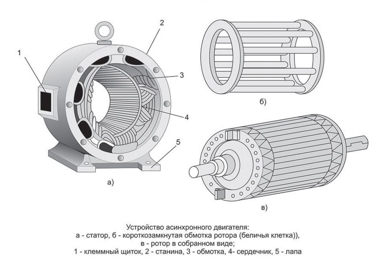 Устройство электродвигателя. Устройство статора асинхронного двигателя. Схема статора асинхронного двигателя. Конструкция статора асинхронного электродвигателя. Конструкция обмотки статора асинхронного двигателя.