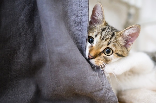 Фото: dpa/picture-alliance