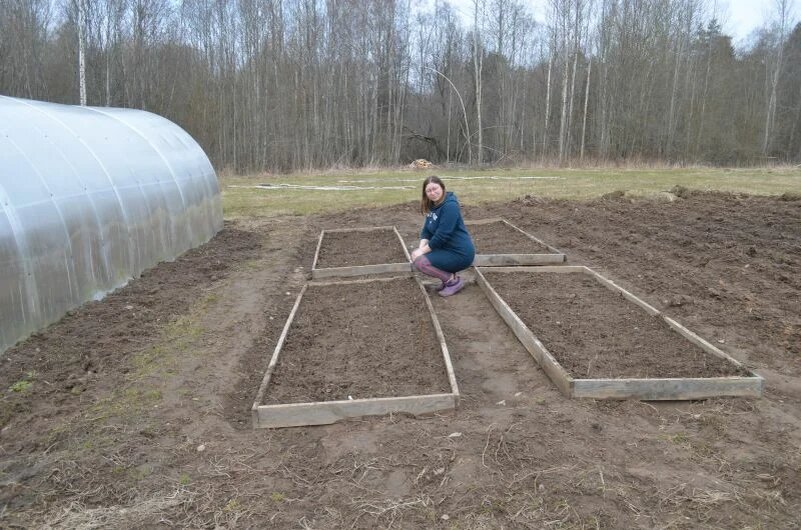 Земля на огороде.