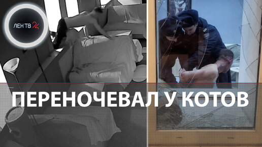 Вломился в котокафе ночью | Странный мужчина напугал котов в Липецке