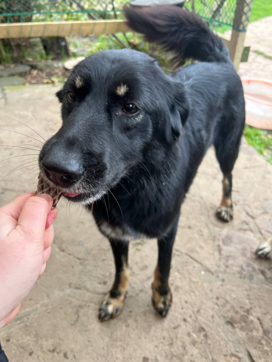 Масенька-царевна)