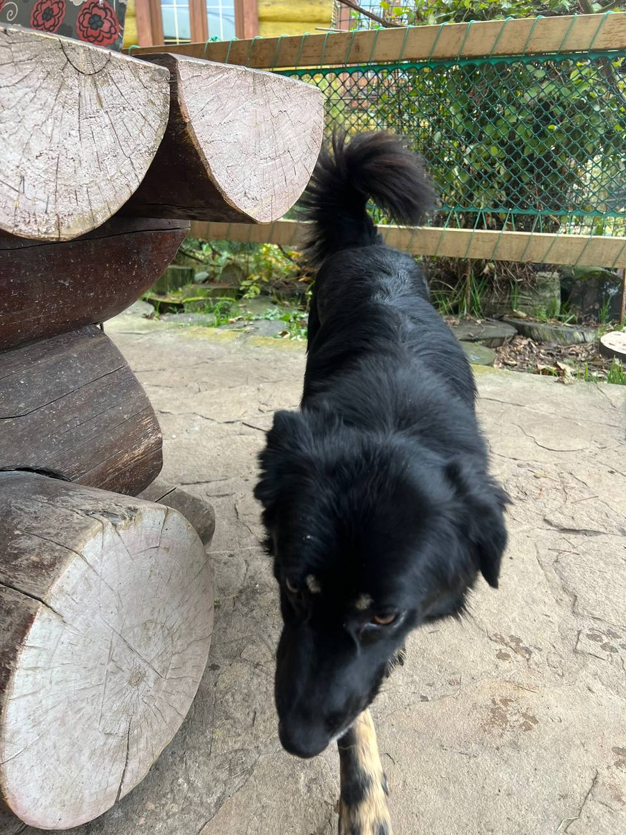 Опять наша скромница, Масюня)))