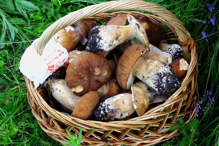 Автор фото Ирина Черпакова