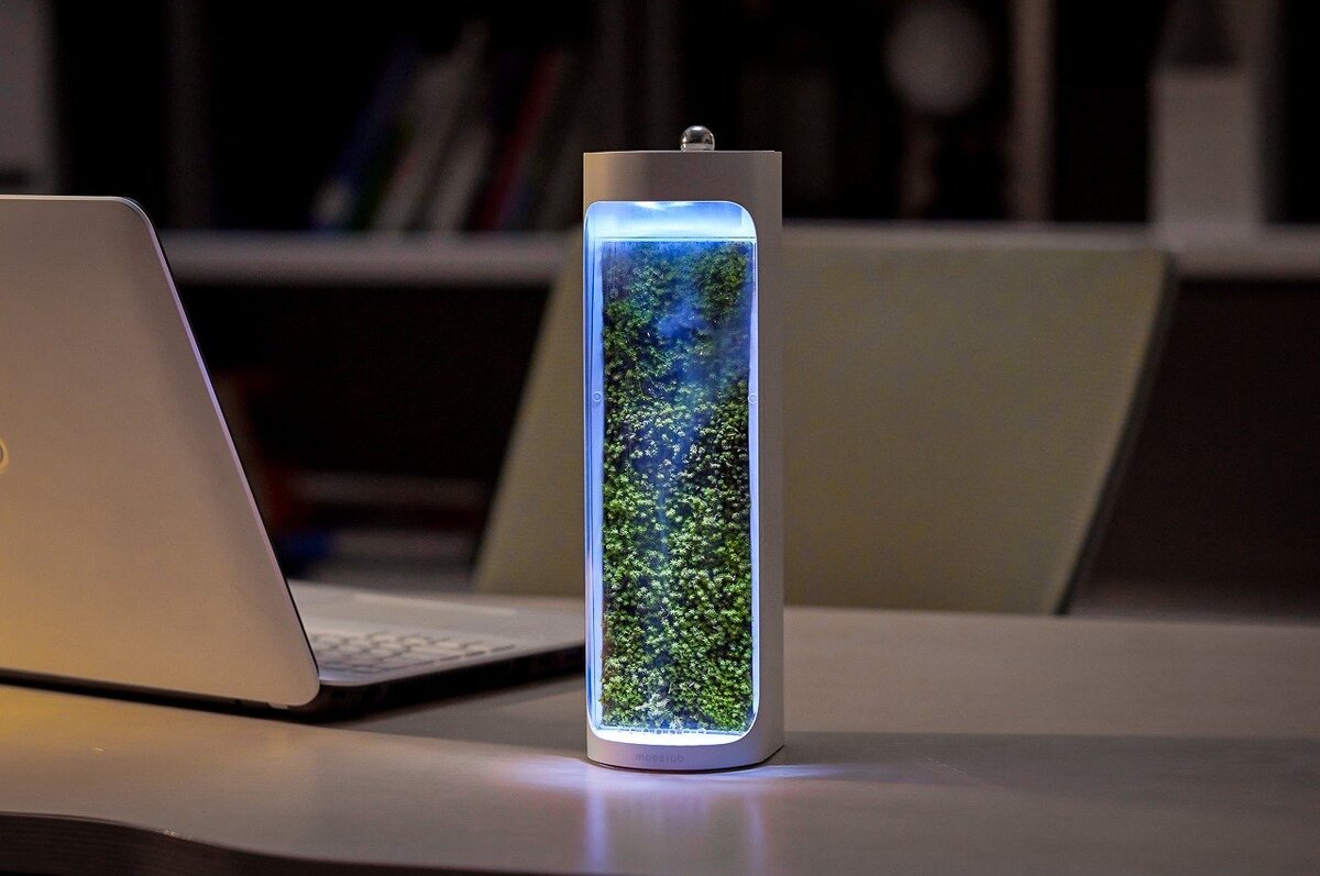 Moss Air - инновационный очиститель воздуха на основе природного мха