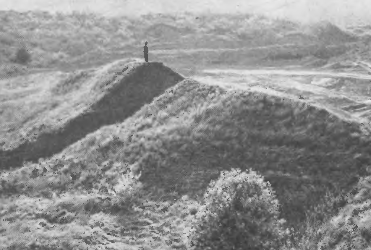 Курган Чертомлык перед исследованиями 1981-1986гг.