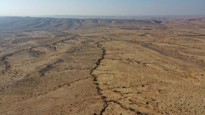 Фото: globallookpress.com/Gil Cohen Magen
