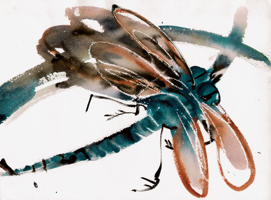 Стрекоза. Надя Будакова. Все изображения в статье взяты с личного сайта художницы http://www.nadyabu.ru/ с ознакомительными целями.