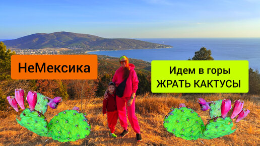 #88 НЕ #Мексика или Идём жрать #кактусы Опунция в горы #Кабардинка #Новороссийск