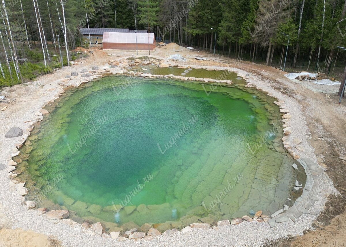 Пруд для плавания и рыбалки, в котором водятся даже раки