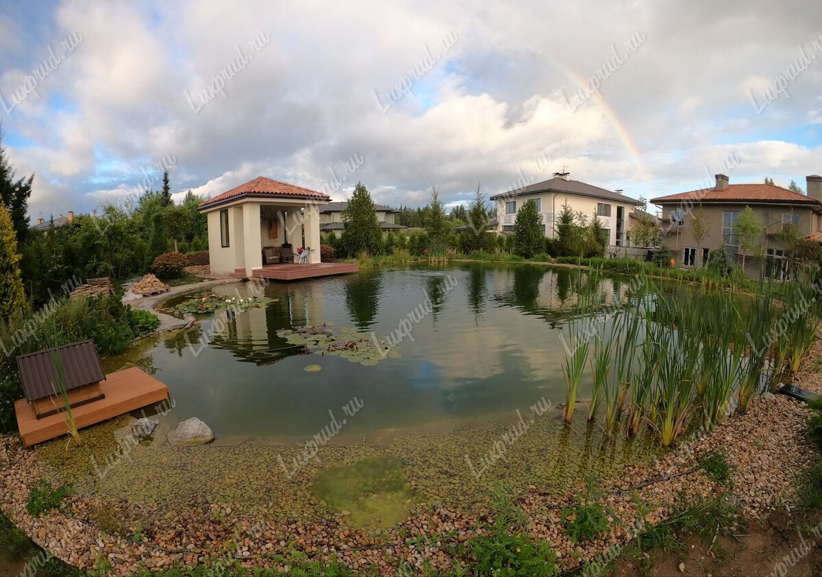 В этом пруду больше 200 кг рыбы