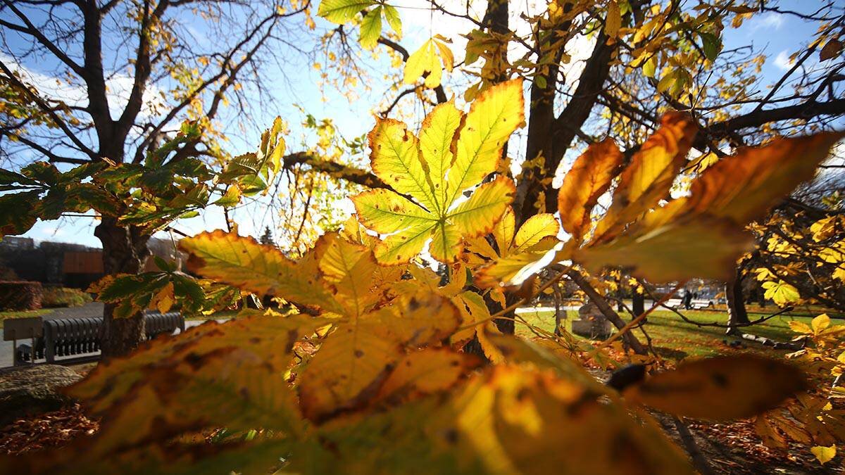    Фото: Сергей Ведяшкин / АГН Москва