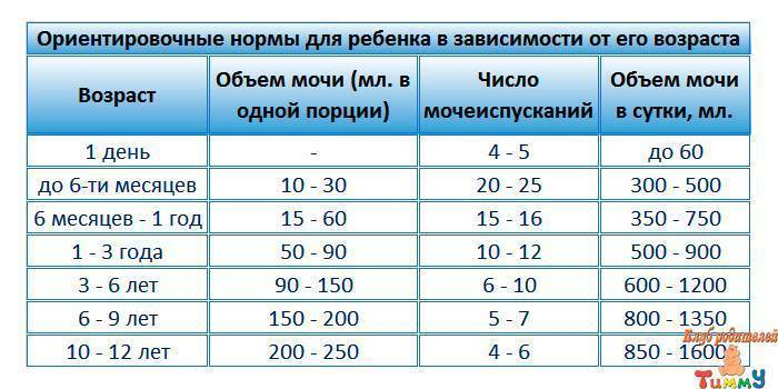 Норма литров мочи в сутки