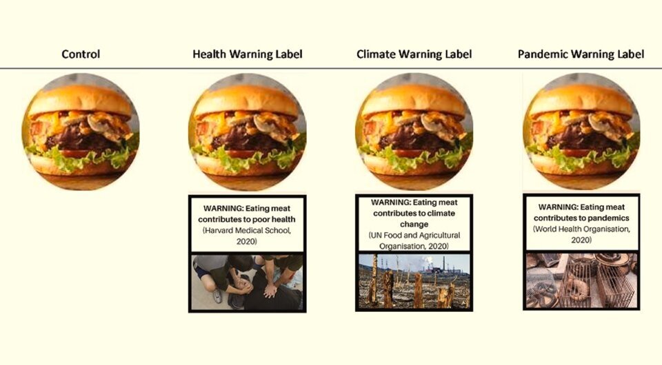   Milica Vasiljevic et al. / Appetite, 2023