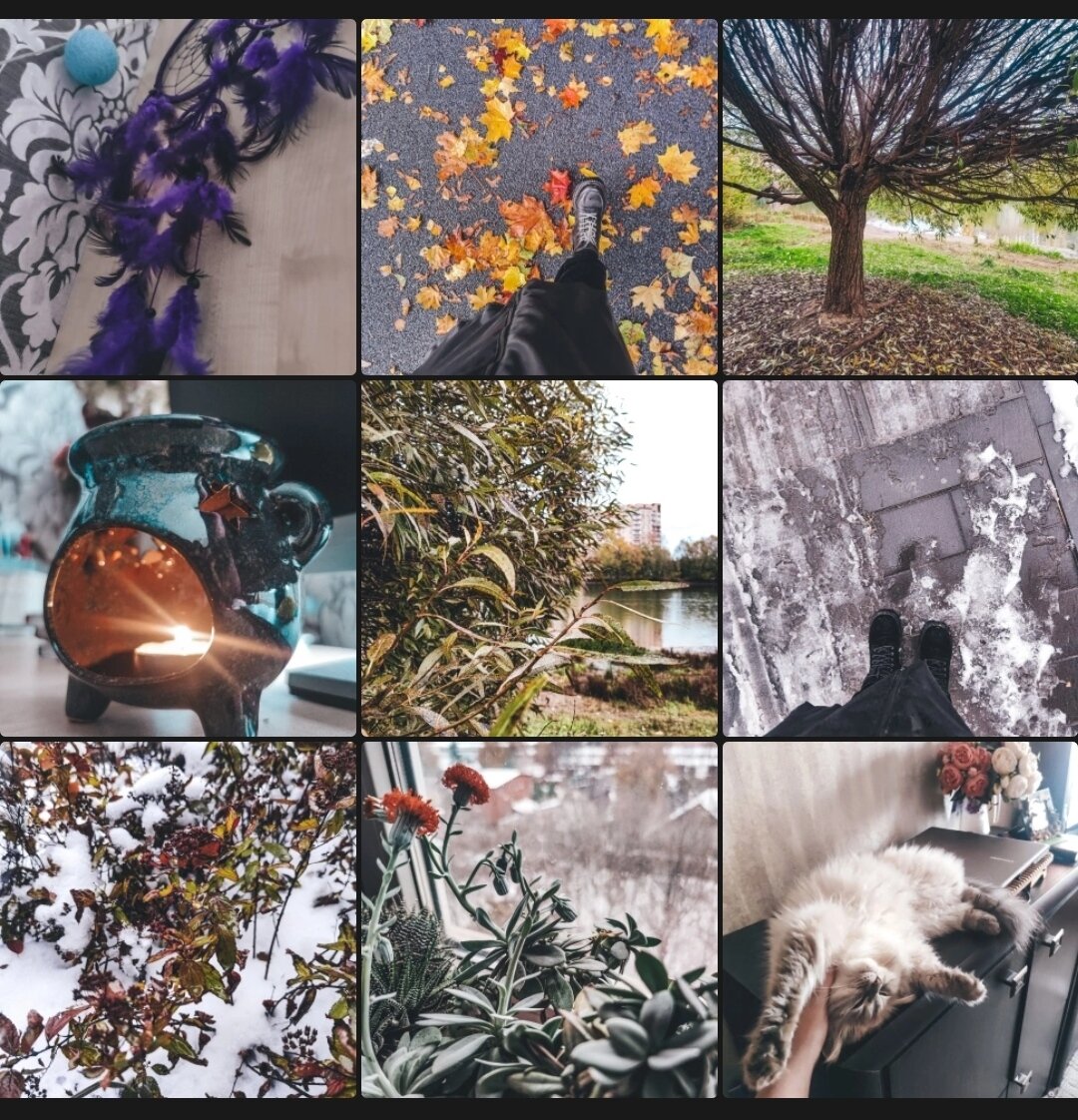 Фотоподборка из моего личного архива. By EleNaumenko