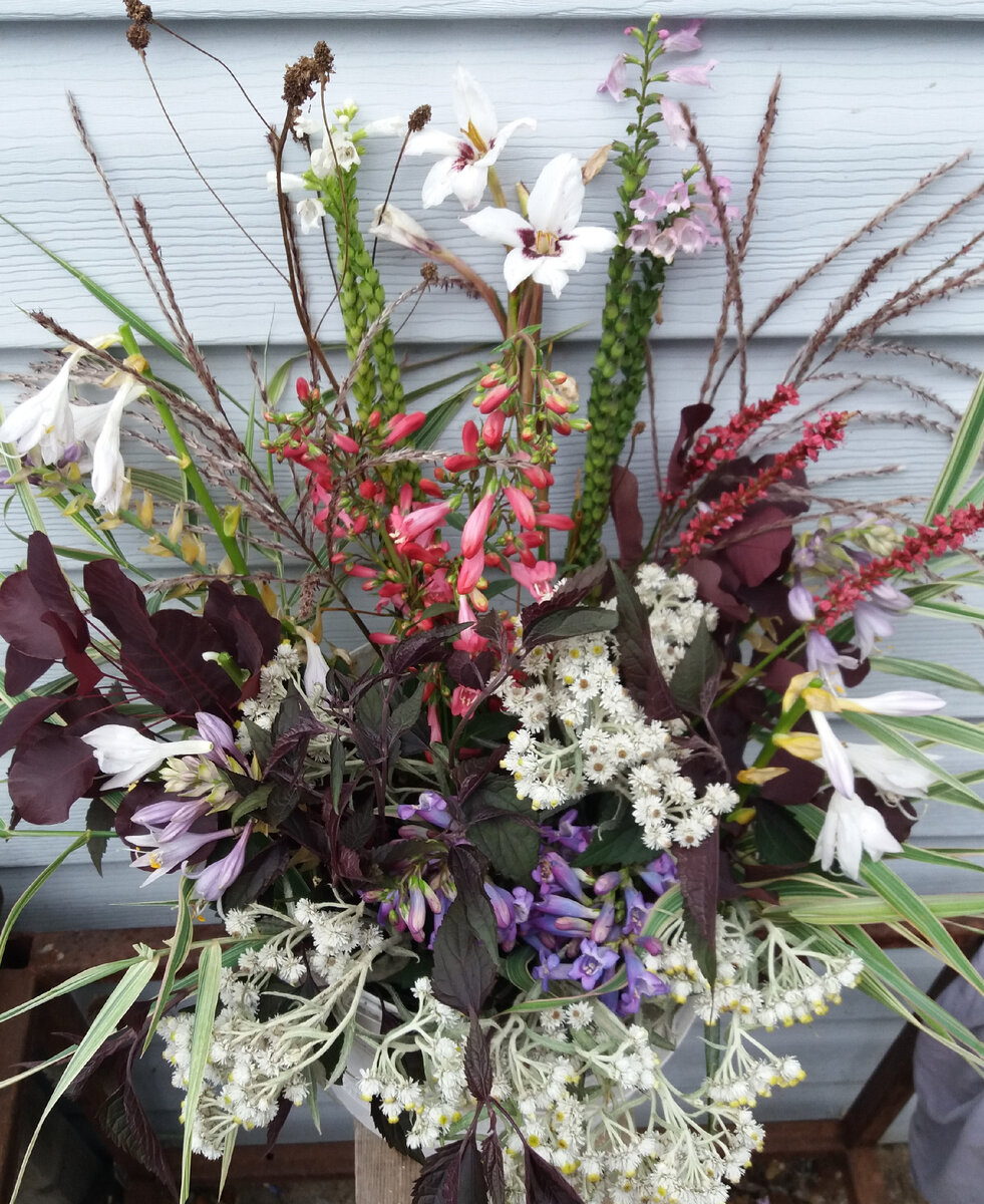 «Первый блин». Татьяна Захарова