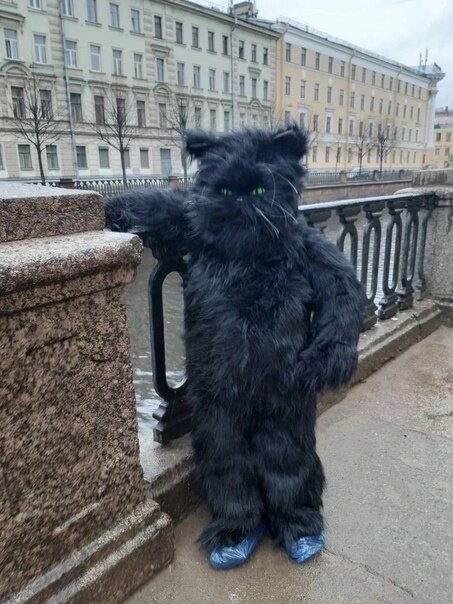 иллюстрация из яндекс картинки.