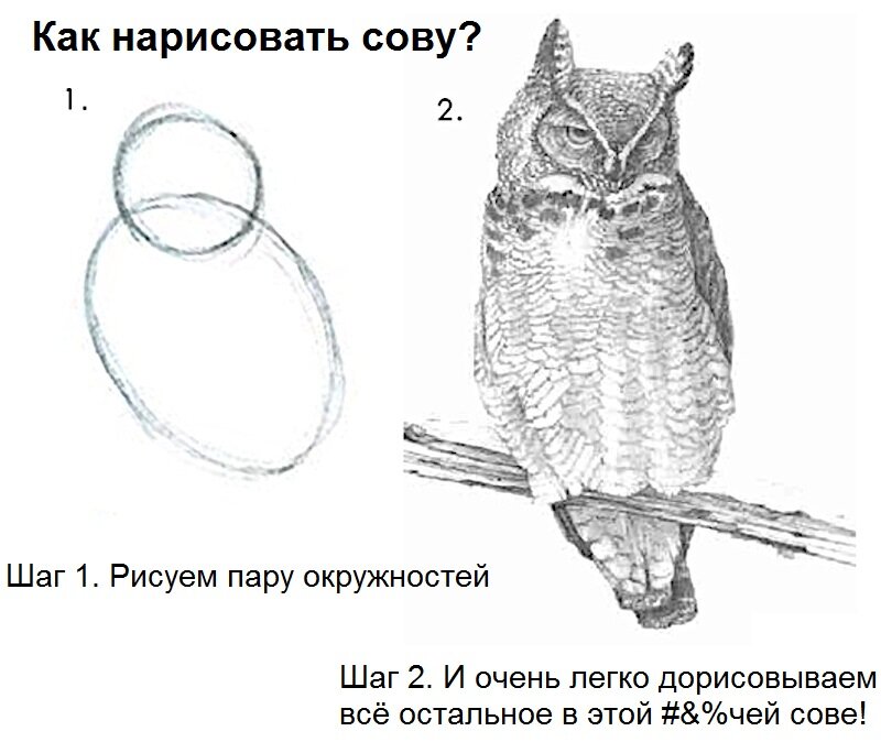 Мастер-класс "Как в два приёма нарисовать красивую сову"?