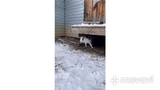 Городские лодыри в деревне