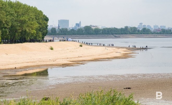 Фото: realnoevremya.ru/Максим Платонов (архив) 