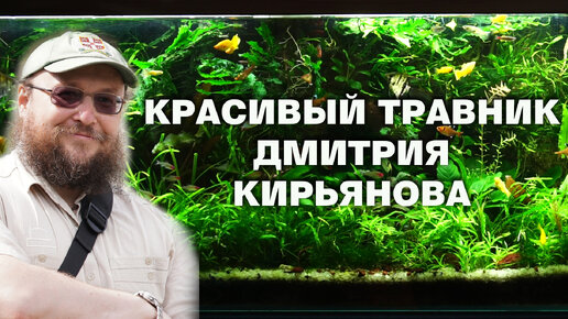Украинский стиль оформления аквариума- “хатаскейп”