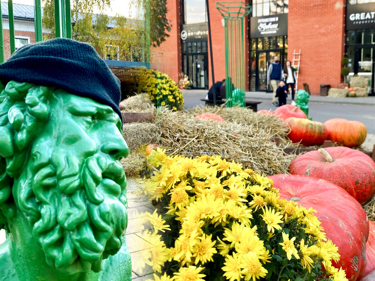 Лаокоон впал в легкую тыквенную кому😅