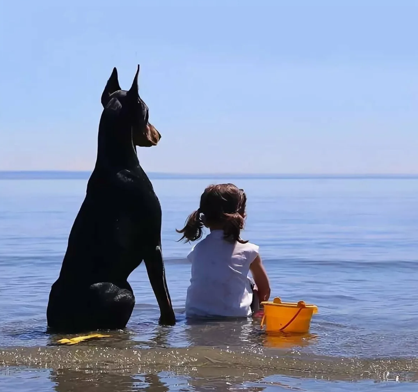 Мужчина с собакой у моря