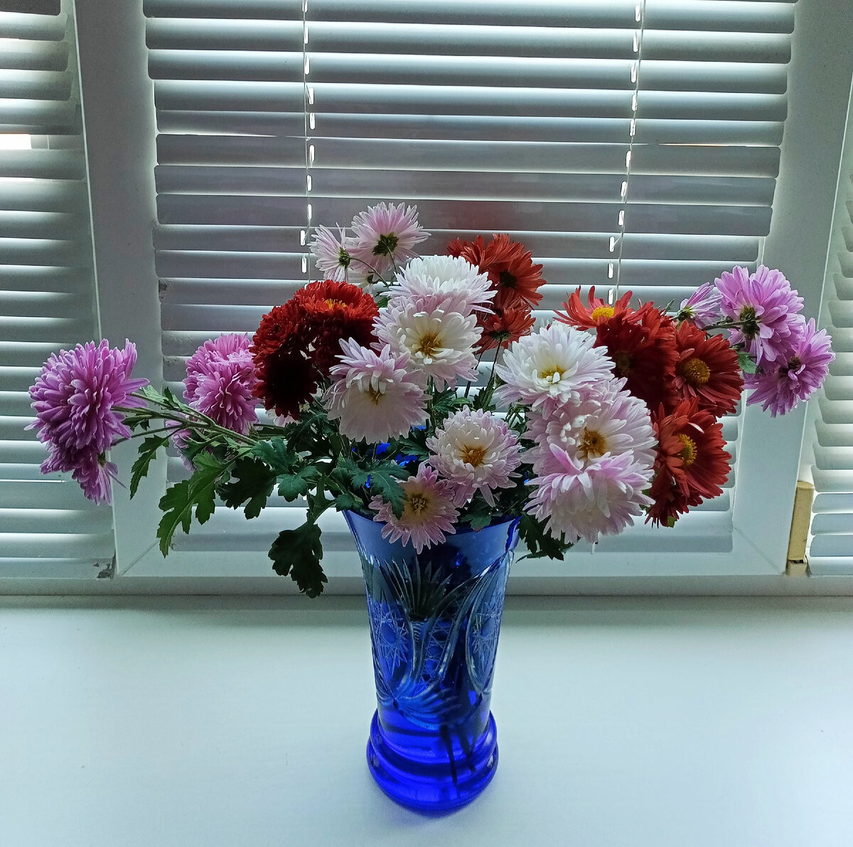 Осенние цветы 