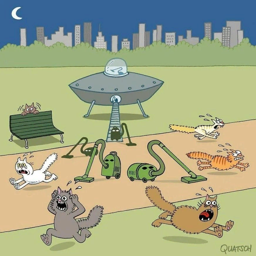 Источник Яндекс картинки