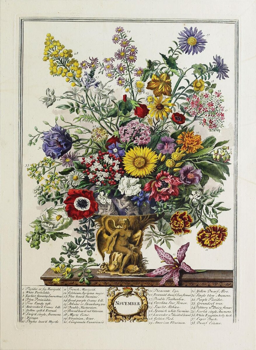 Ноябрь. Цветы