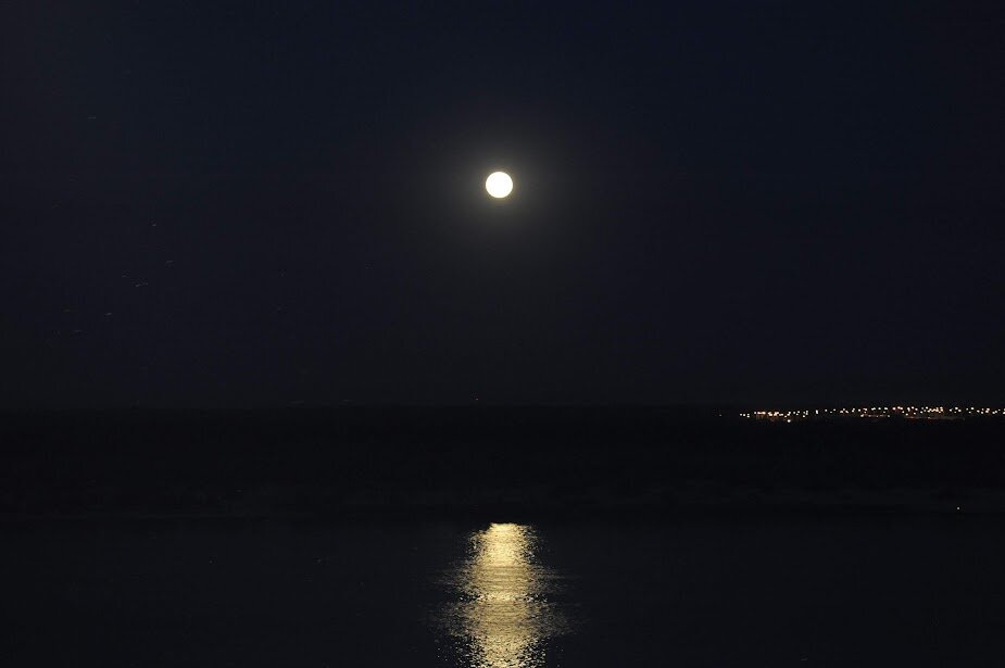 © Фото: ИД «Волгоградская правда» / архив.